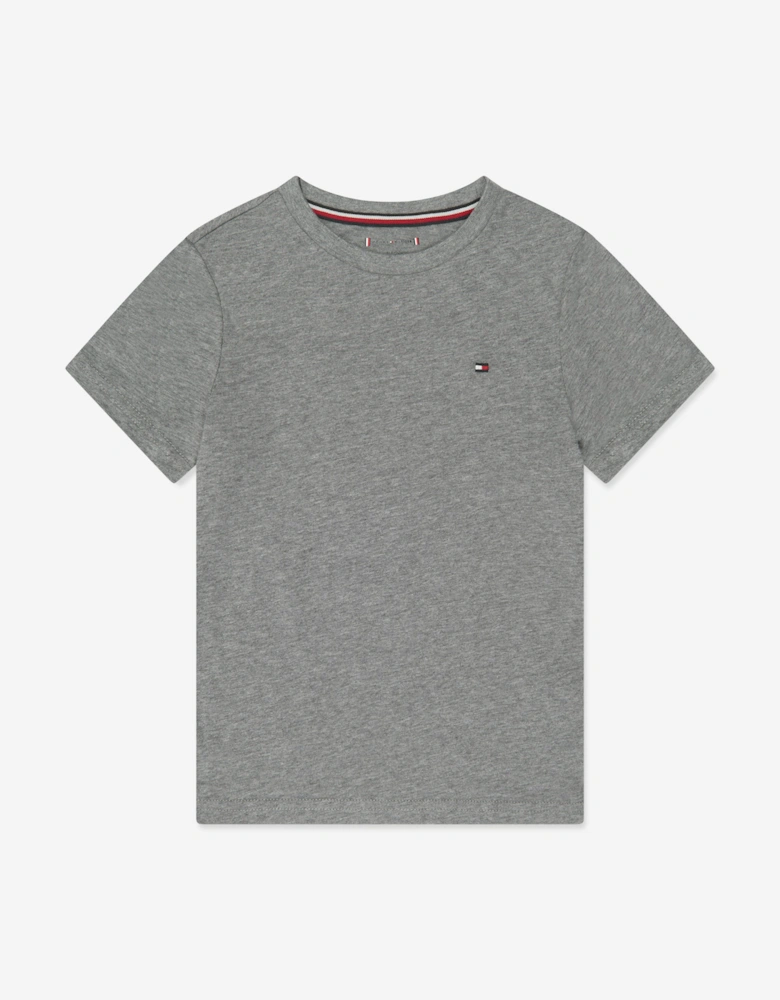 Boys T-Shirt Set (2 Pack) in Grey