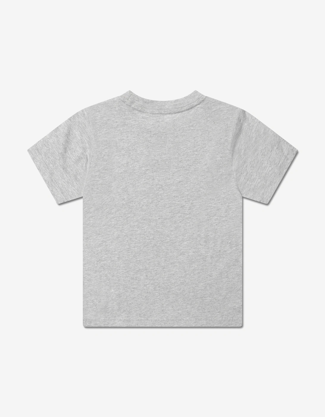 Boys Logo T-Shirt in Grey