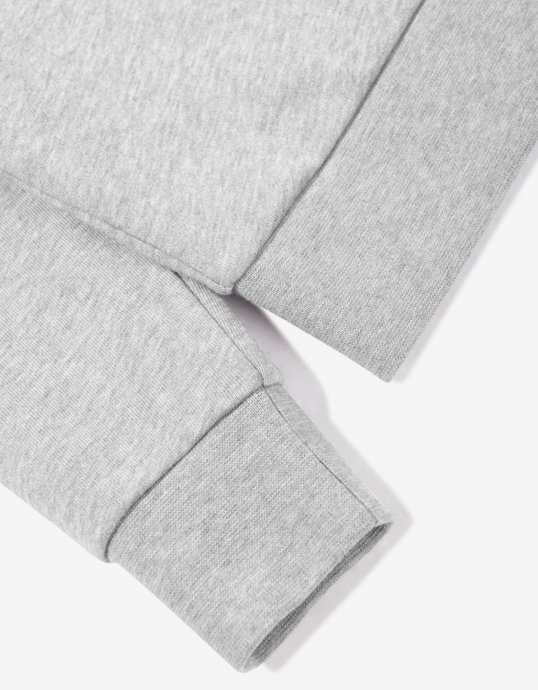 Boys Logo Sweatshirt in Grey