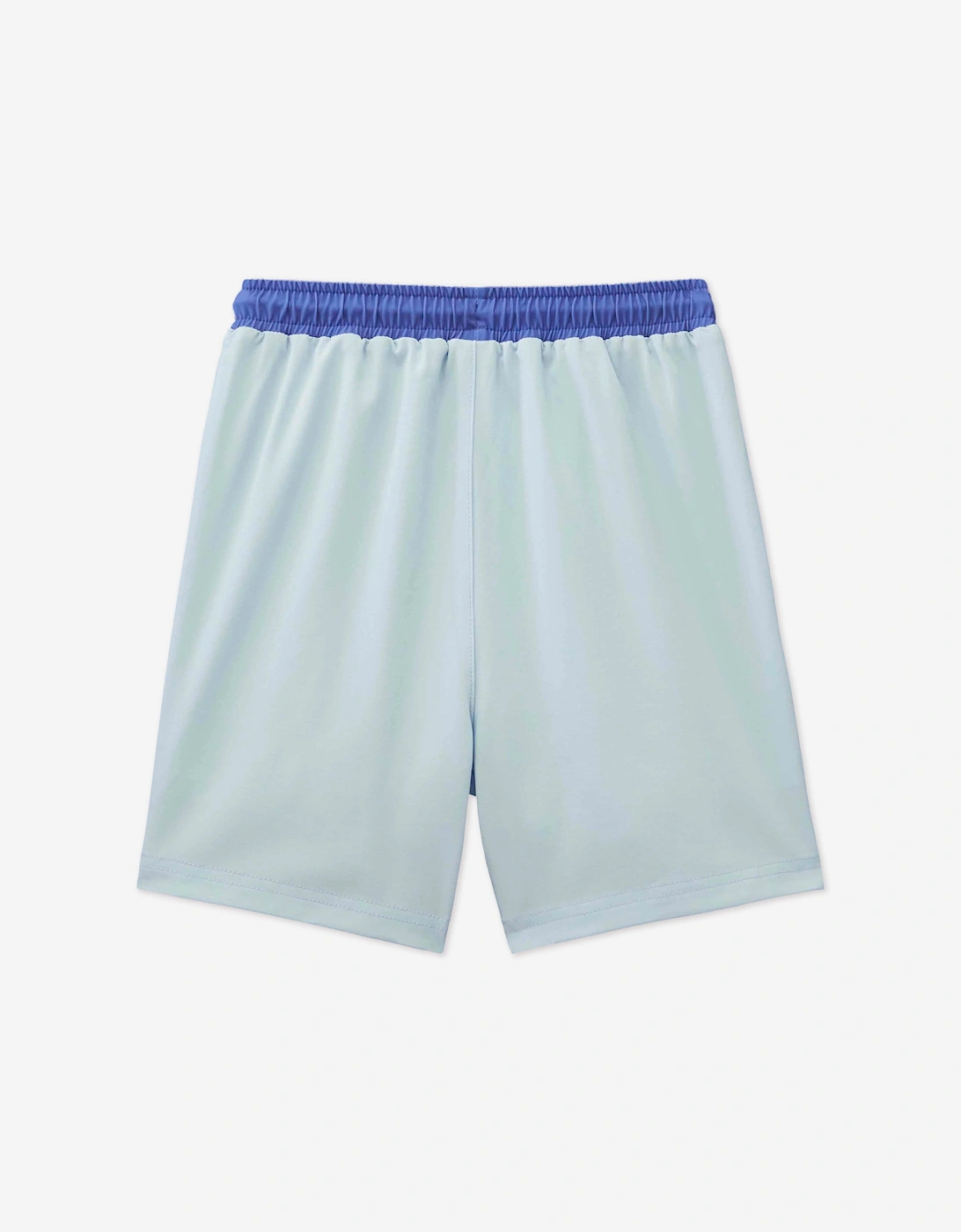 Boys Reef The Shark Swim Shorts in Blue (UPF50+)