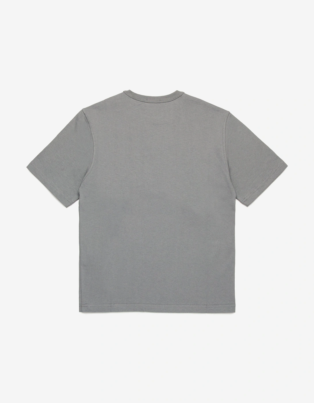 Boys Logo T-Shirt in Grey
