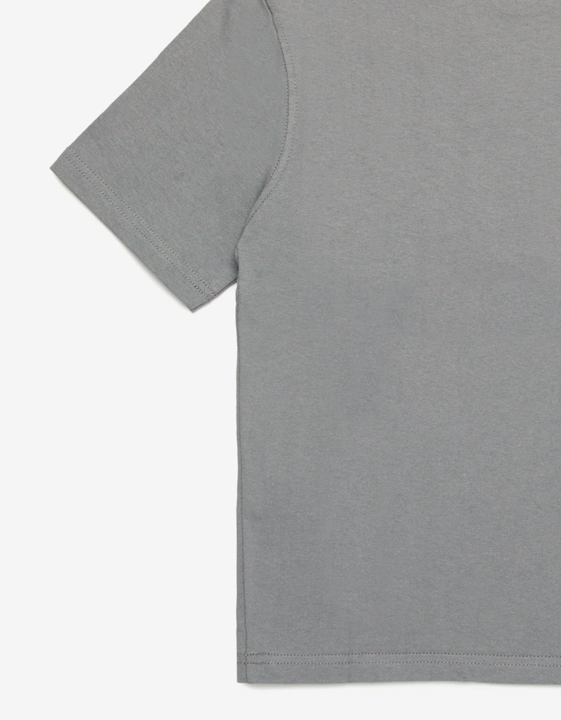 Boys Logo T-Shirt in Grey