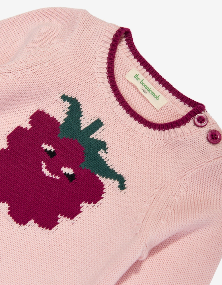Girls Blackberry Knit Jumper in Pink