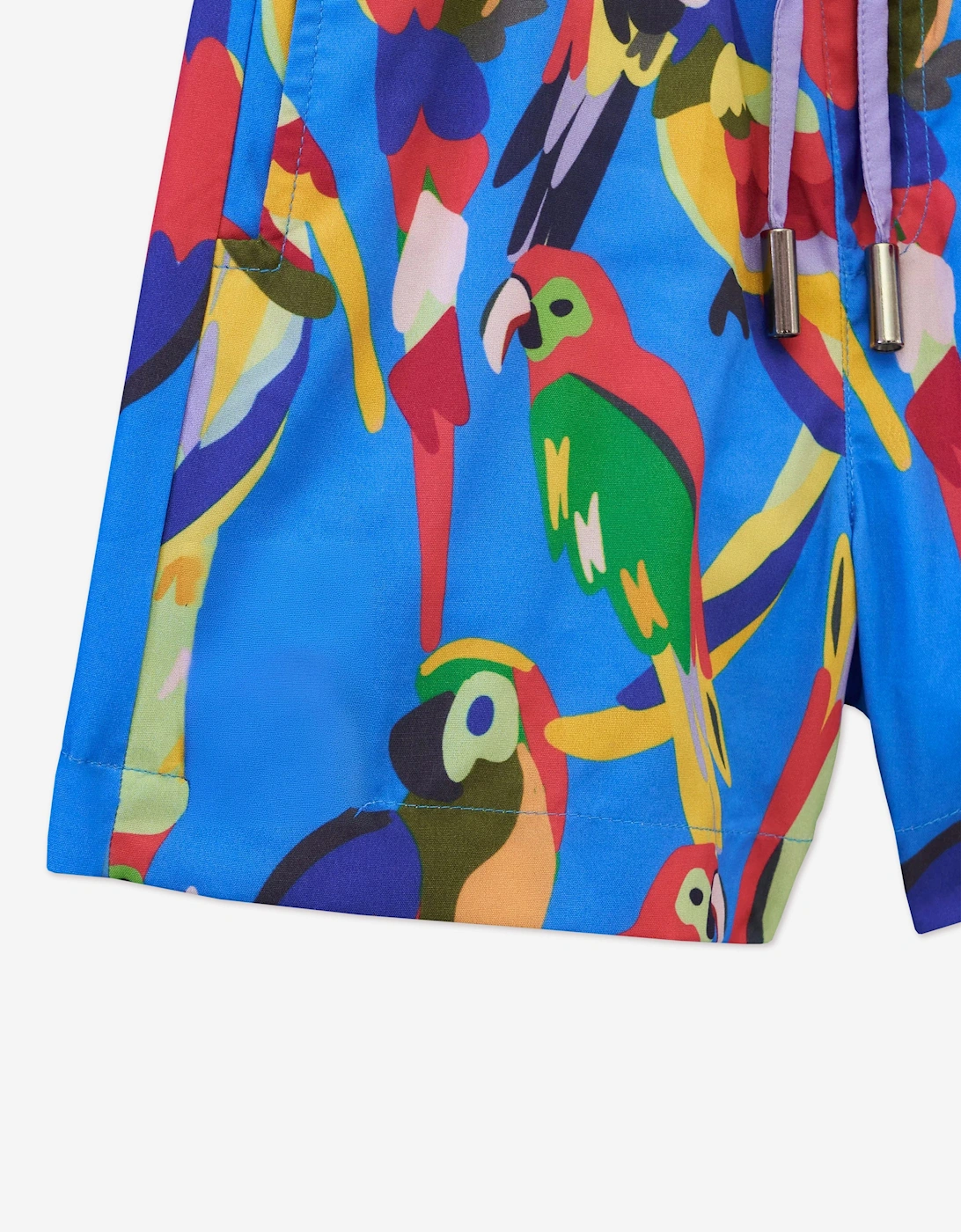 Boys Parrot Swim Shorts in Blue (UPF50+)