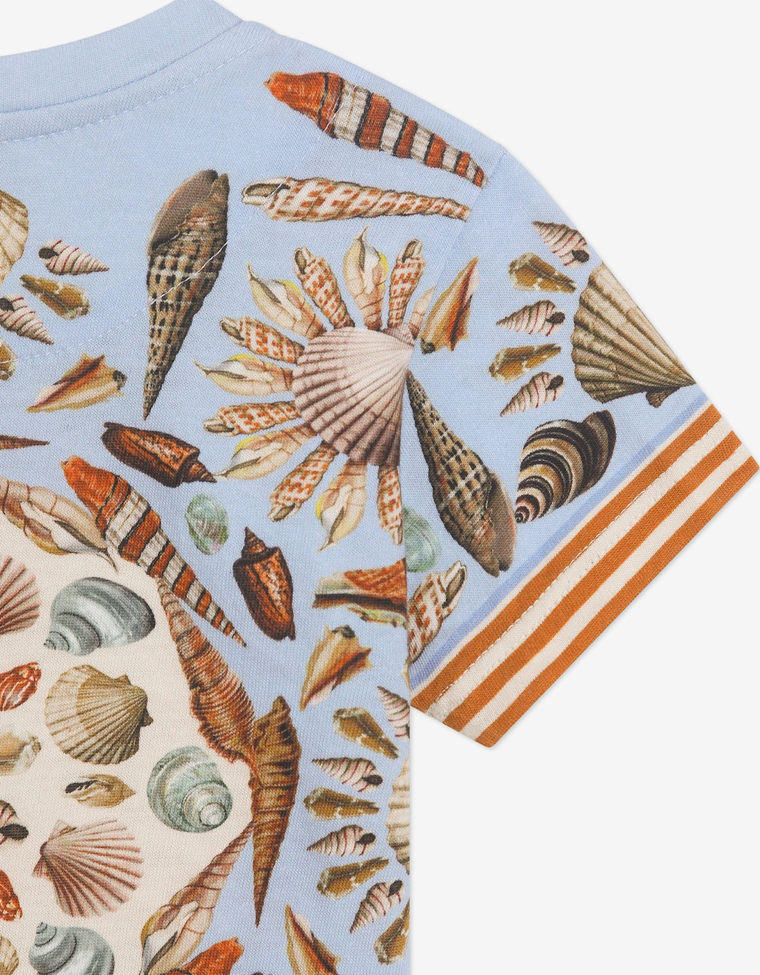 Baby Boys Shell Print T-Shirt in Blue