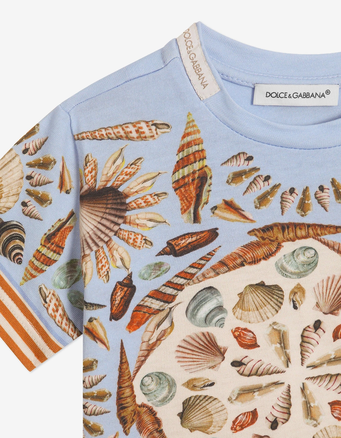 Baby Boys Shell Print T-Shirt in Blue