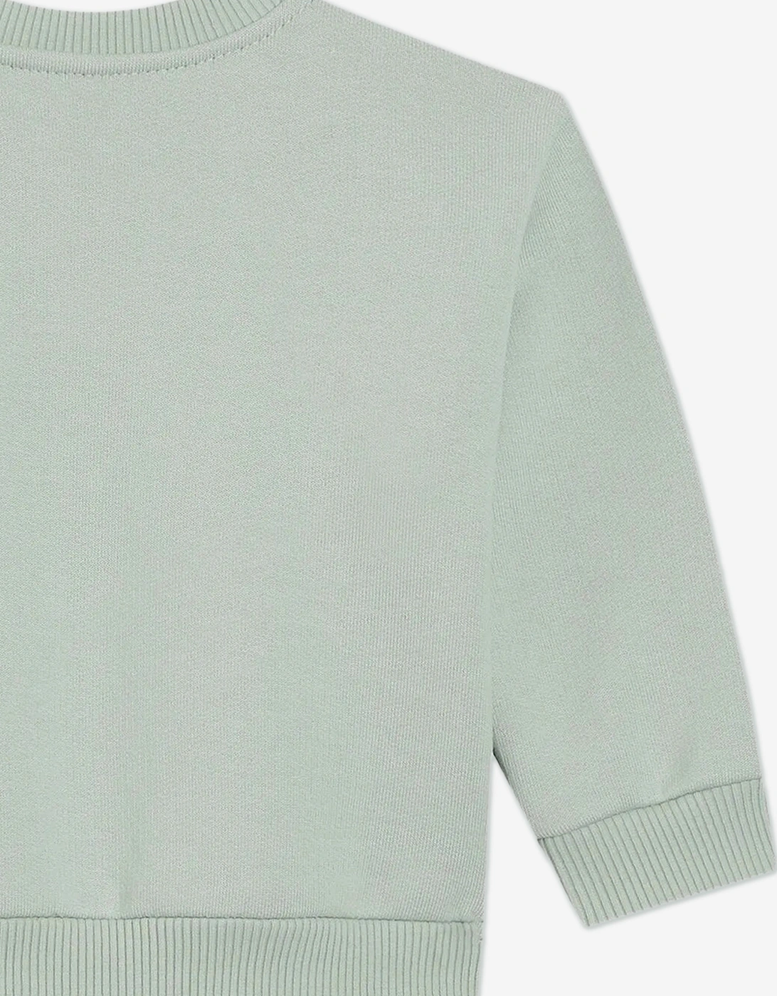 Baby Boys Logo Sweatshirt in Green