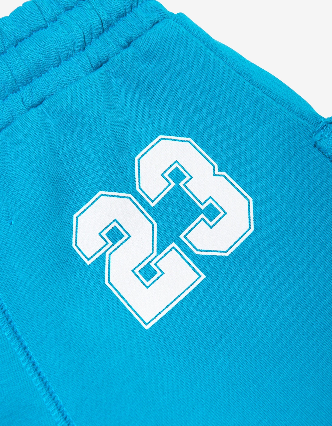 Boys Team 23 Sweat Shorts in Blue