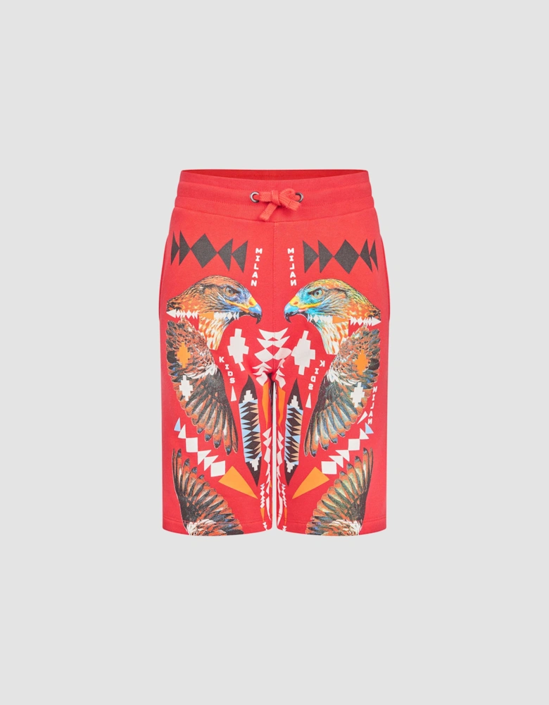 Boys Shorts