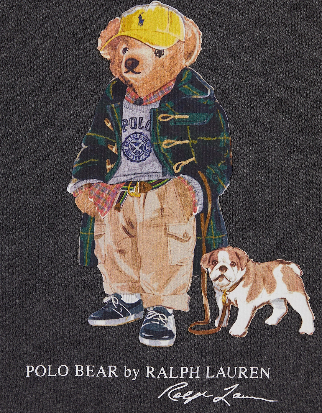 Boys Polo Bear Sweatshirt in Grey