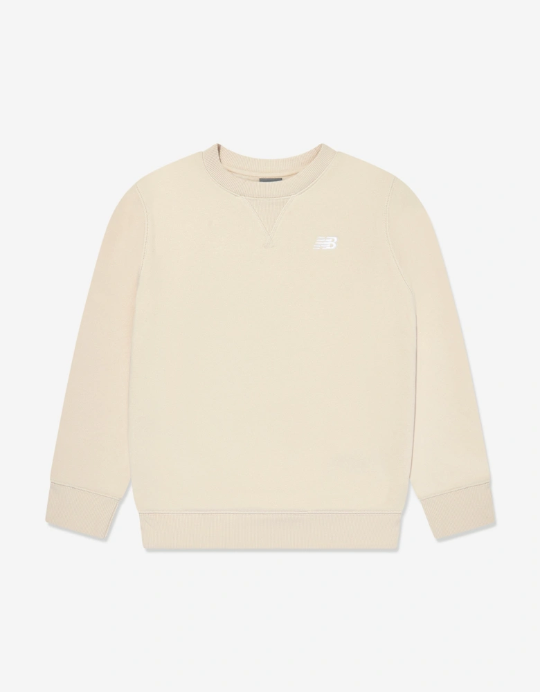 Boys Brush Back Small Logo Sweatshirt in Beige