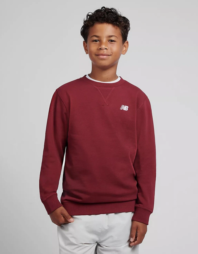 Boys French Terry Small Logo Sweatshirt in Red