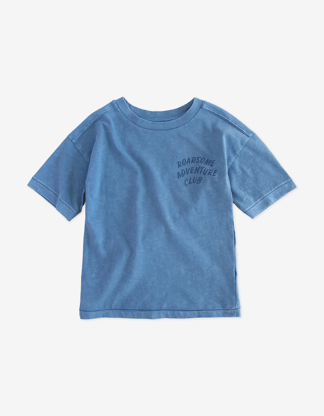 Boys Reef The Shark Adventure Club T-Shirt in Blue, 5 of 4