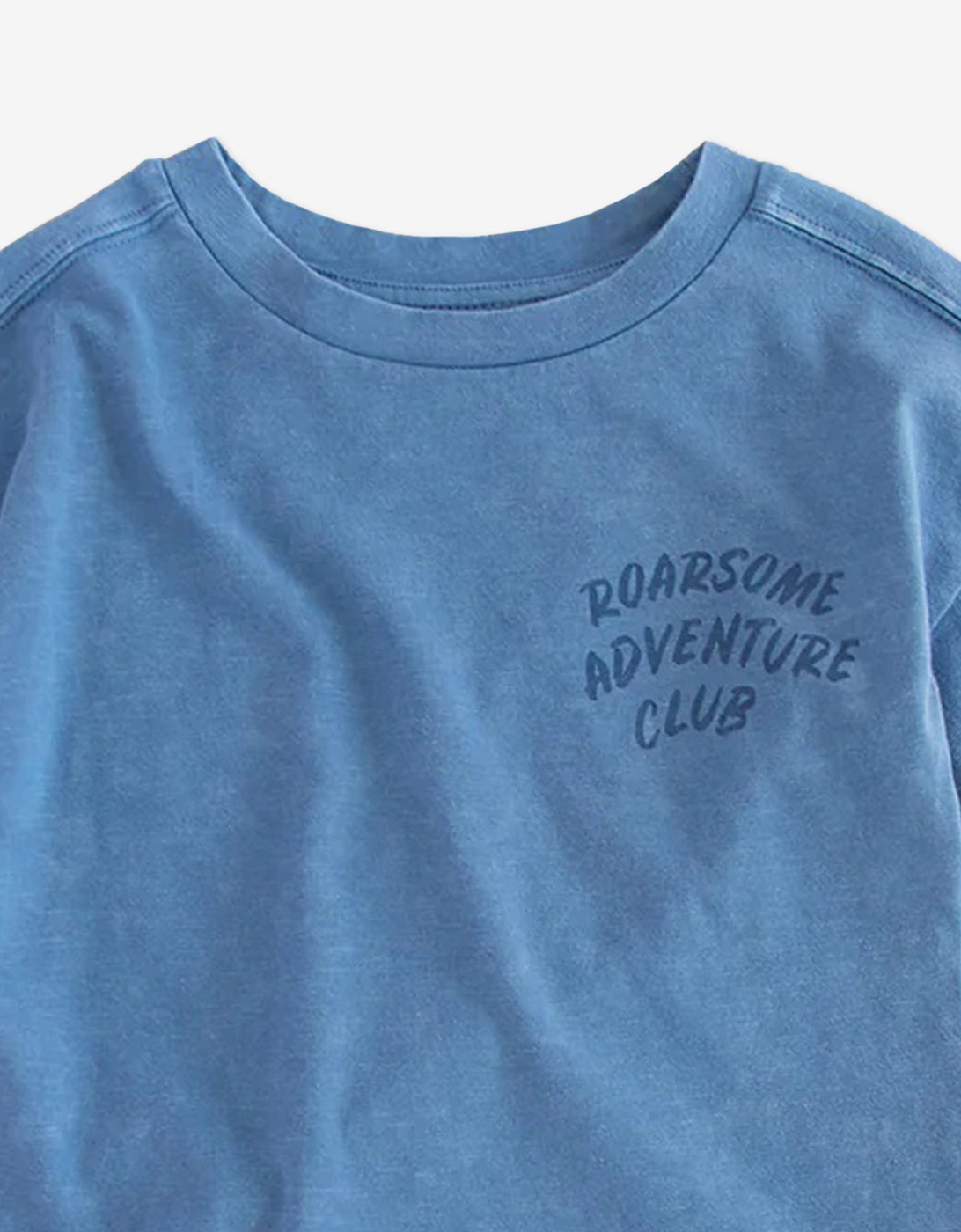 Boys Reef The Shark Adventure Club T-Shirt in Blue