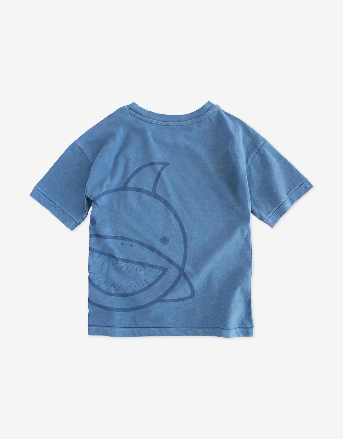 Boys Reef The Shark Adventure Club T-Shirt in Blue