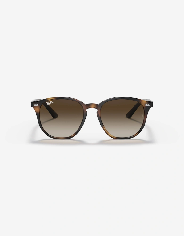 Kids RB9070S Sunglasses in Brown