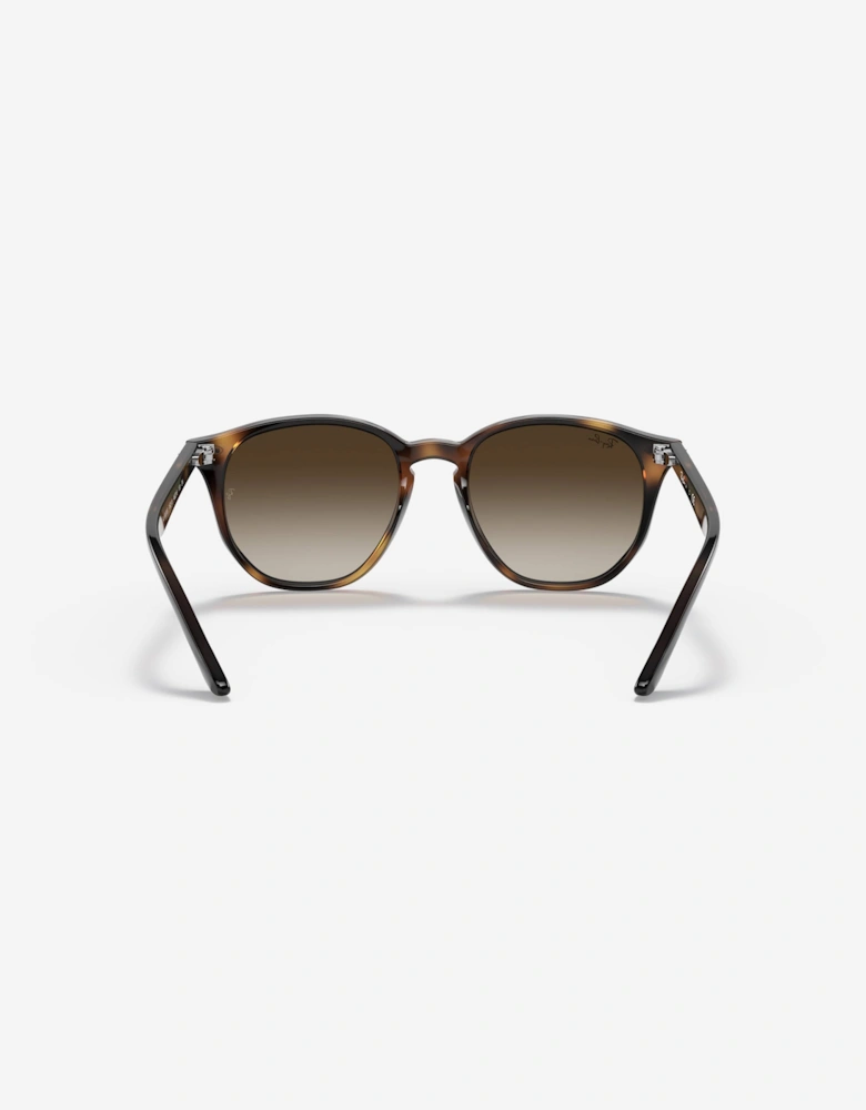 Kids RB9070S Sunglasses in Brown