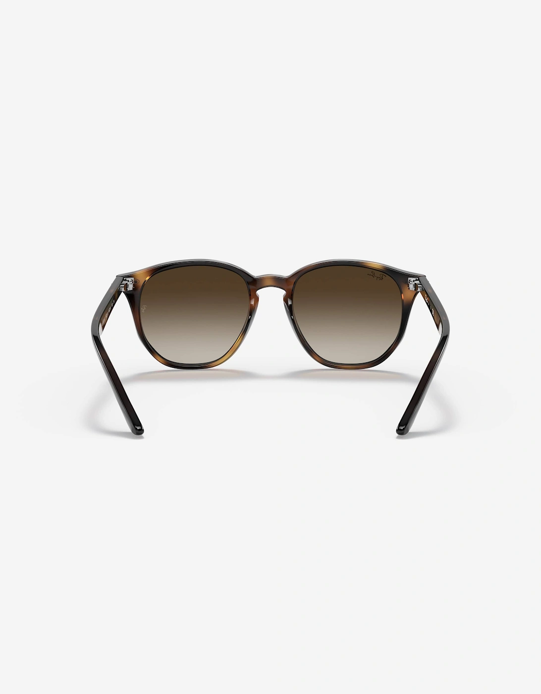 Kids RB9070S Sunglasses in Brown