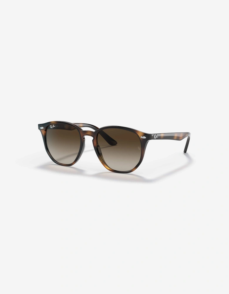 Kids RB9070S Sunglasses in Brown