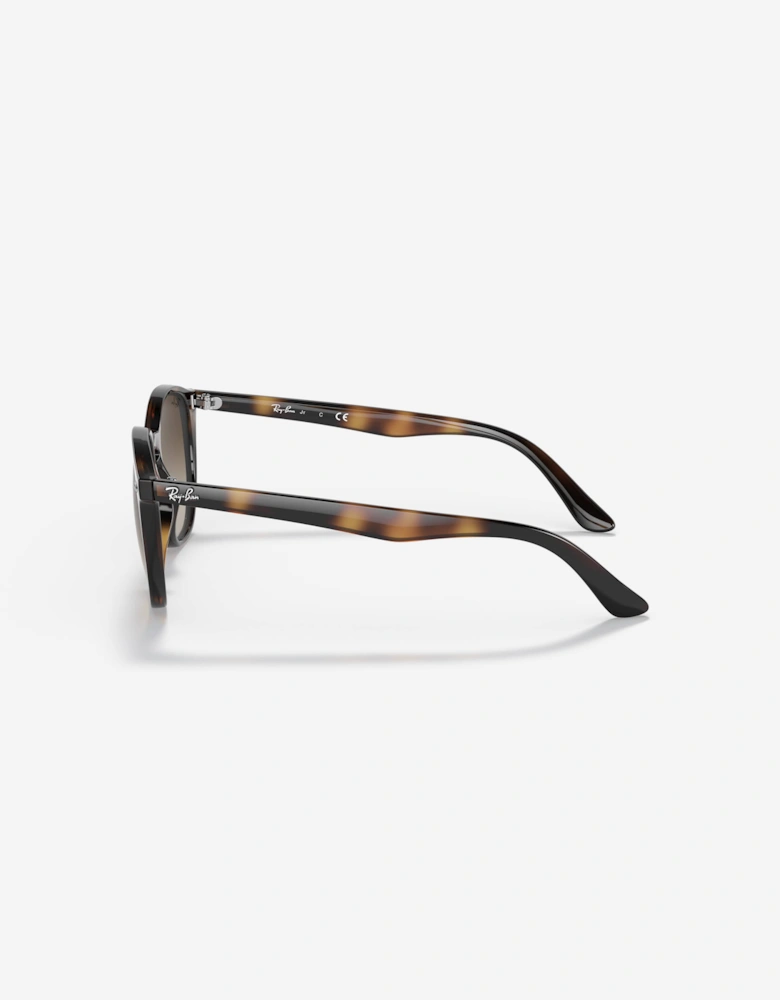 Kids RB9070S Sunglasses in Brown