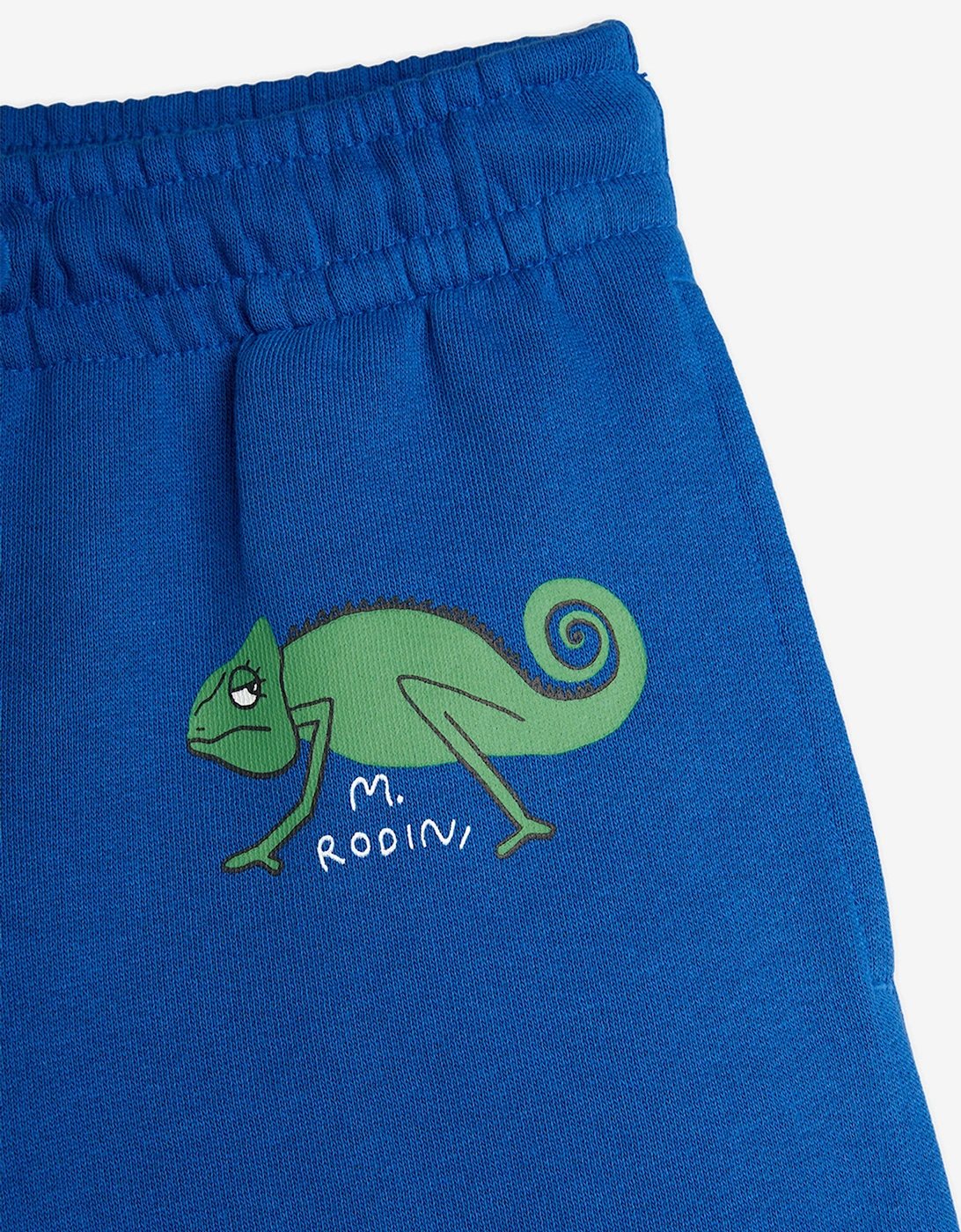 Boys Lizard Sweat Shorts in Blue