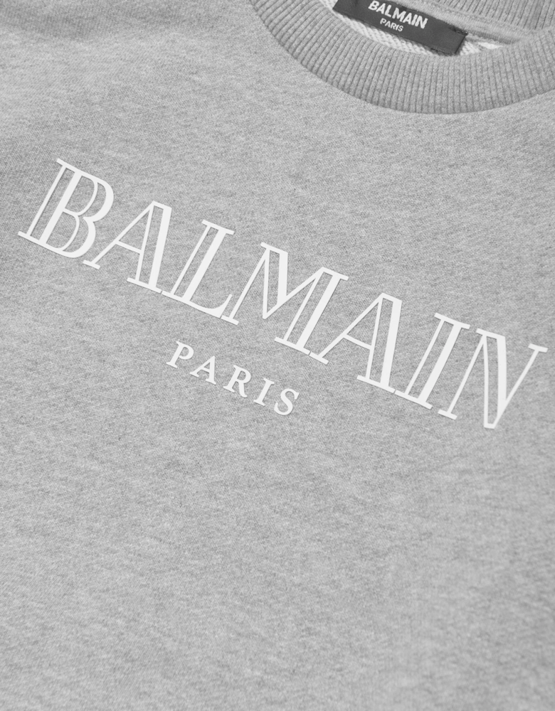 Boys Logo Sweatshirt in Grey