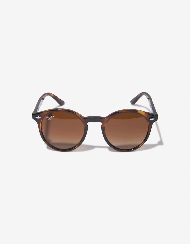 Kids RB9064S Sunglasses in Brown