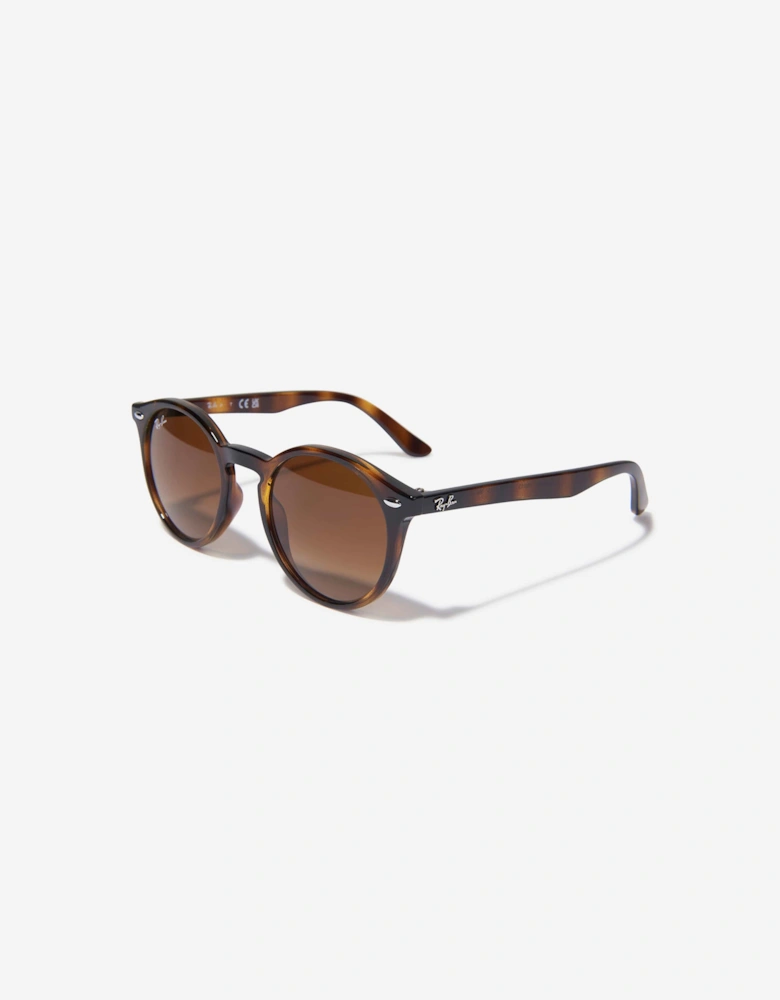 Kids RB9064S Sunglasses in Brown