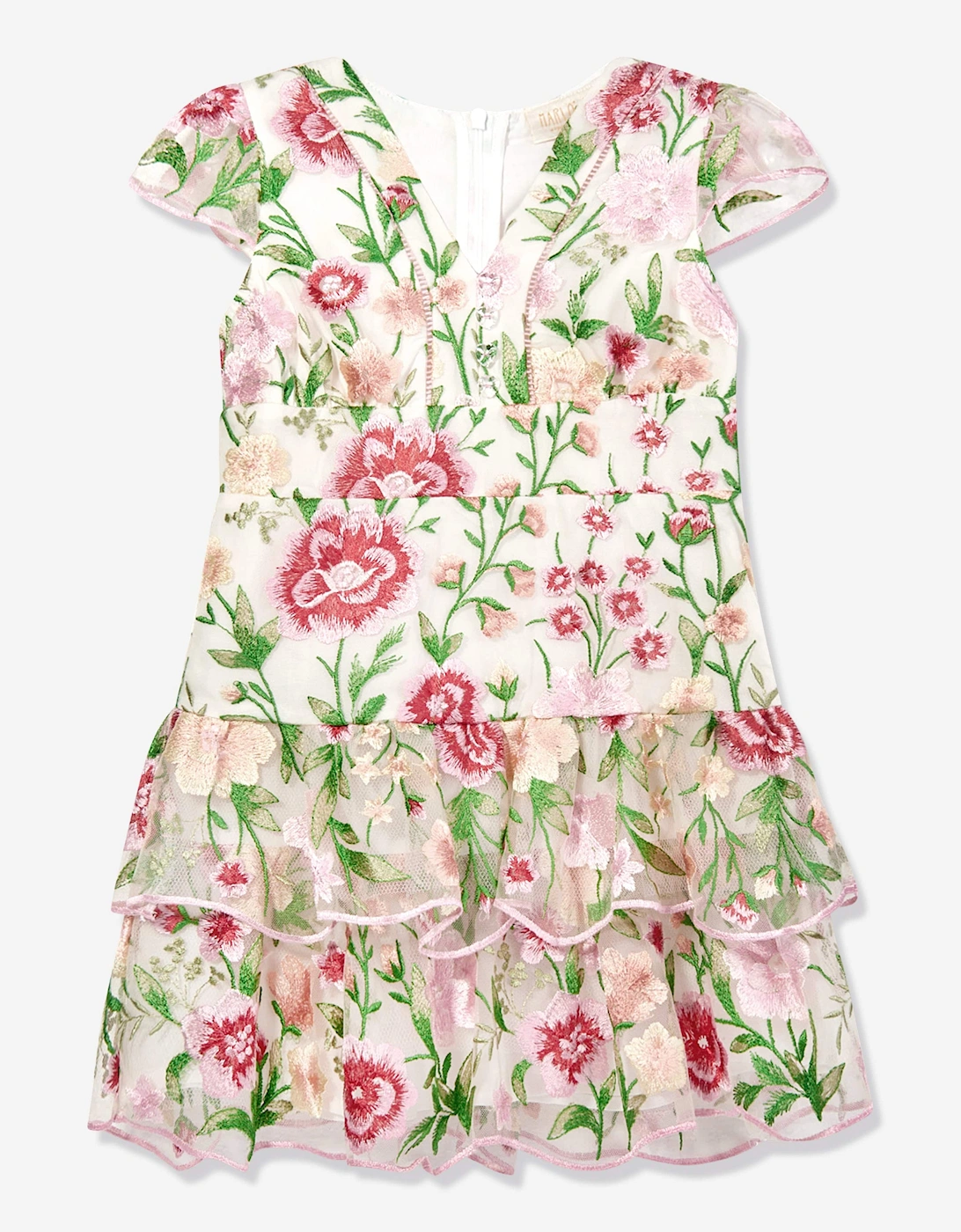 Girls Poppy Embroidered Dress in Multicolour, 6 of 5