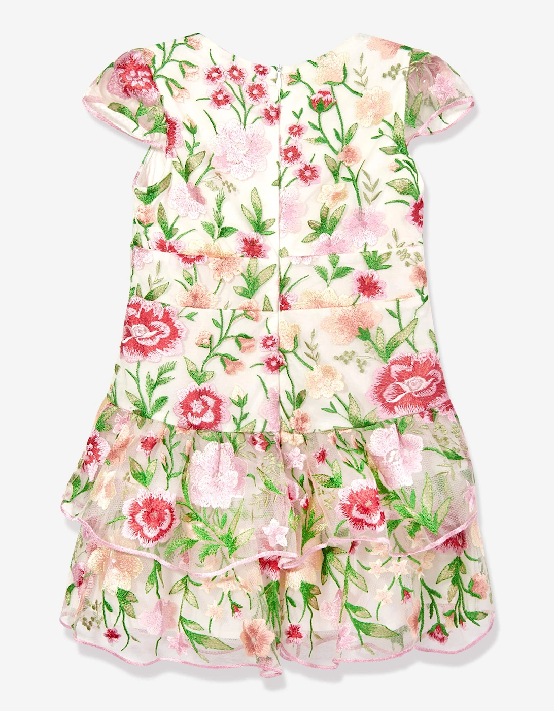 Girls Poppy Embroidered Dress in Multicolour
