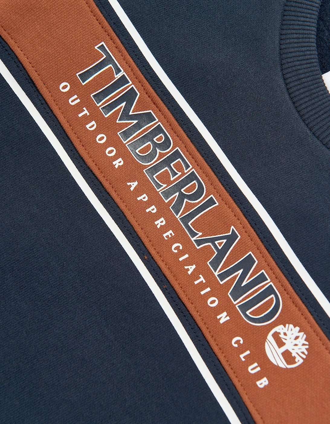 Boys Logo Print Sweatshirt in Navy