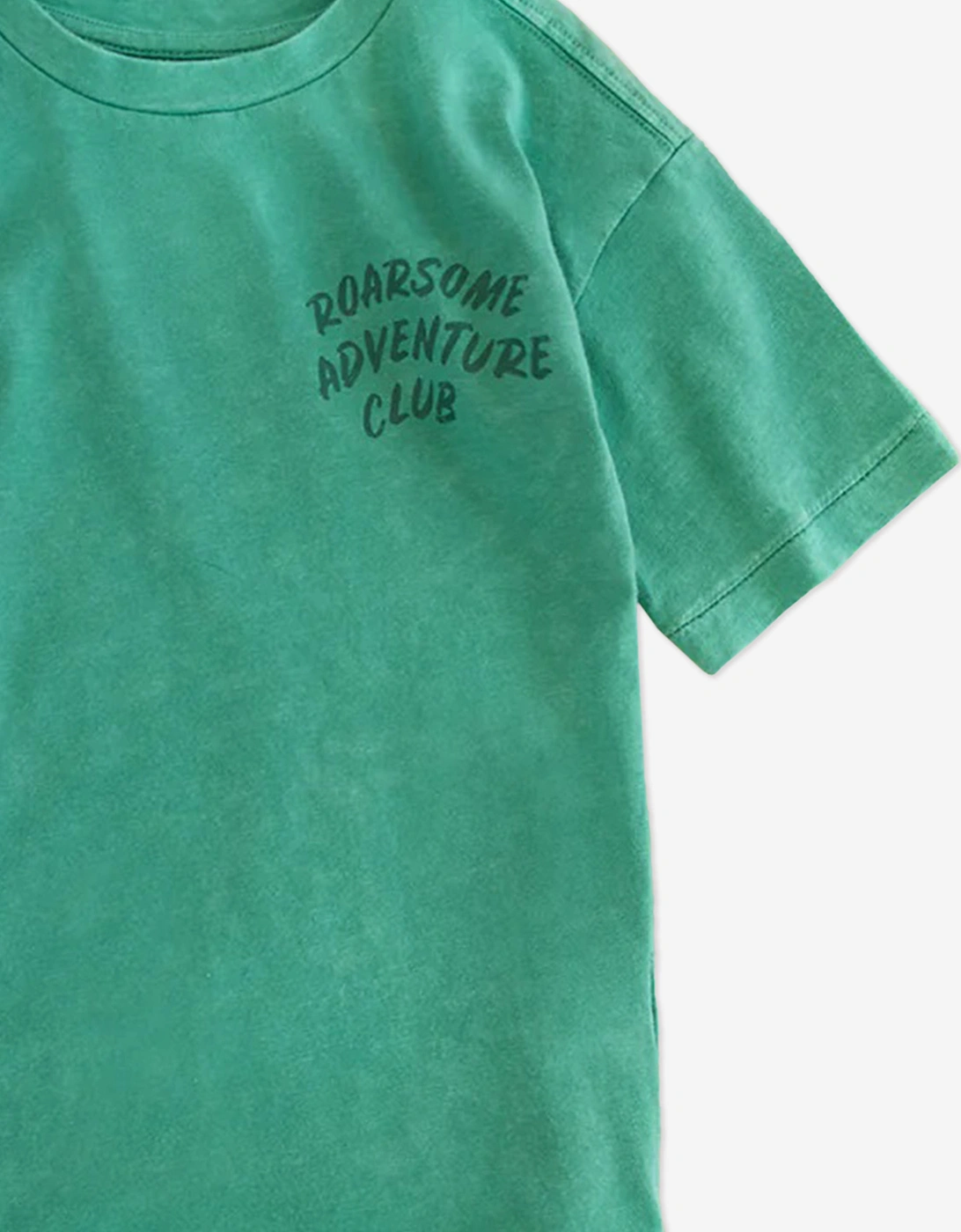 Boys Spike The Dinosaur Adventure Club T-Shirt in Green