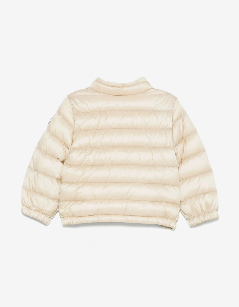 Baby Boys Down Padded Acorus Jacket in Beige