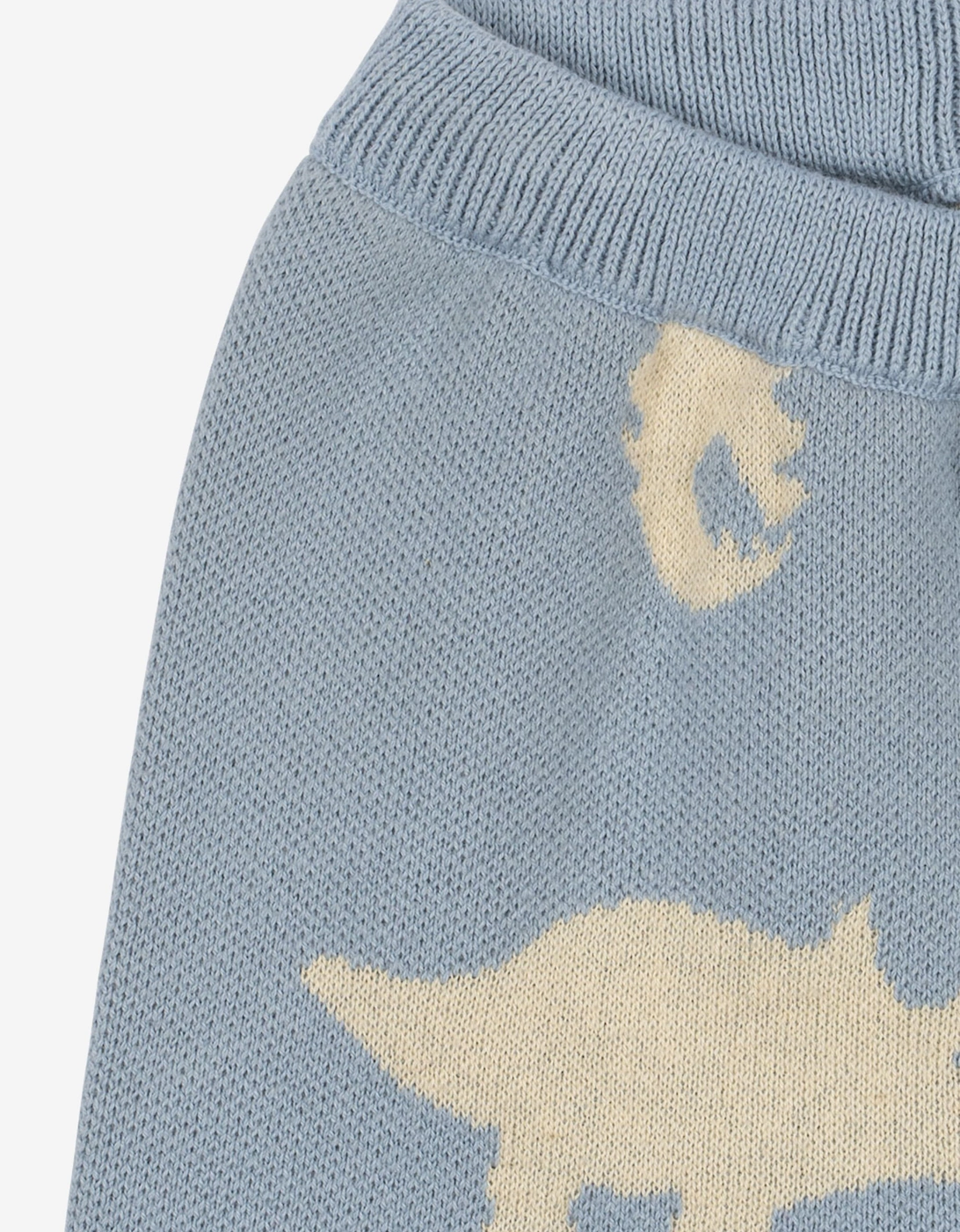 Boys Dino Lapis Knit Pants in Blue