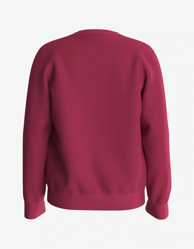 Boys Logo Sweatshirt in Red