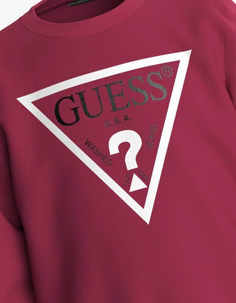 Boys Logo Sweatshirt in Red