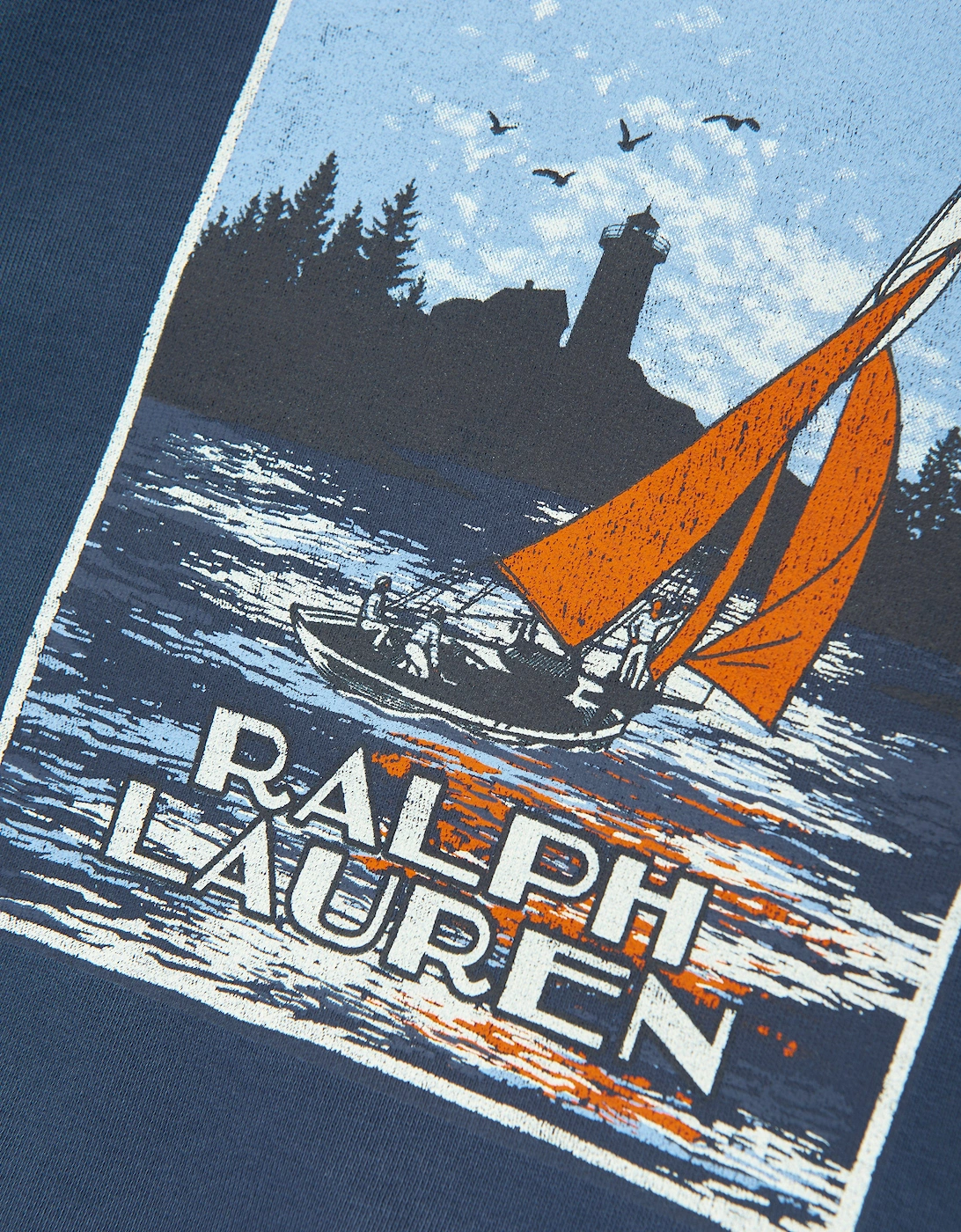 Boys Branded Sweatshirt in Navy