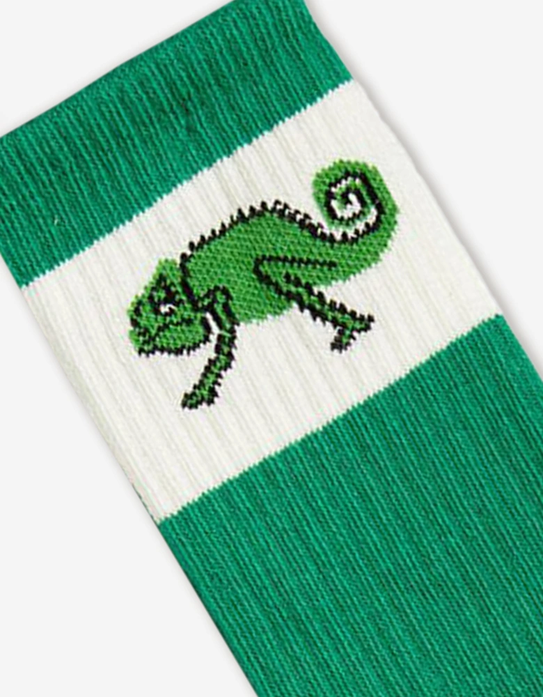 Boys Lizard Socks in Green