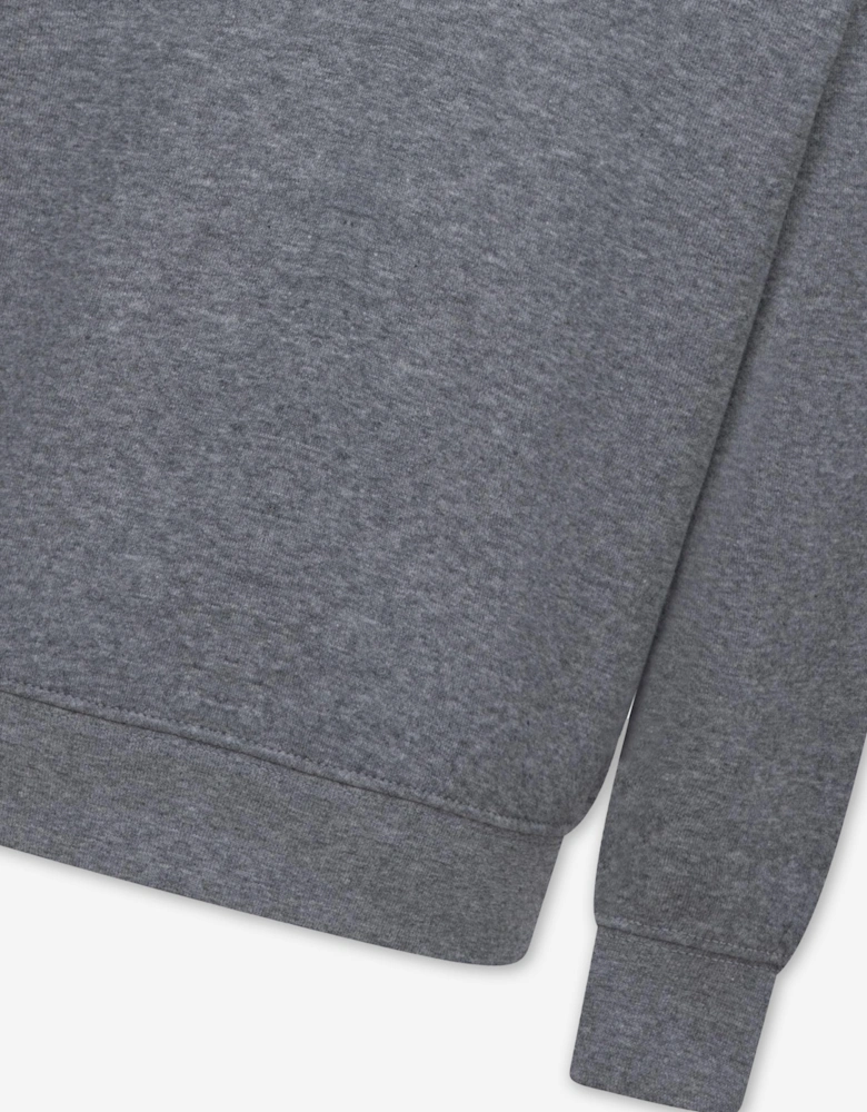 Jordan Boys Brooklyn Fleece Essential Sweatshirt in Grey