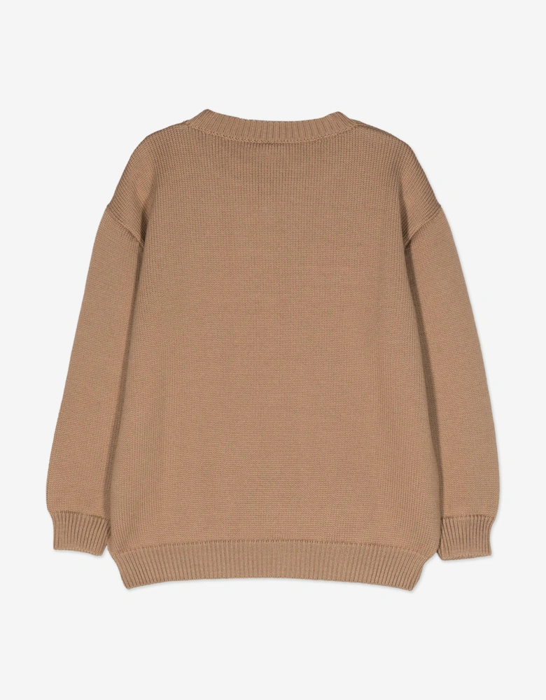 Kids Wool Knitted Logo Jumper in Brown