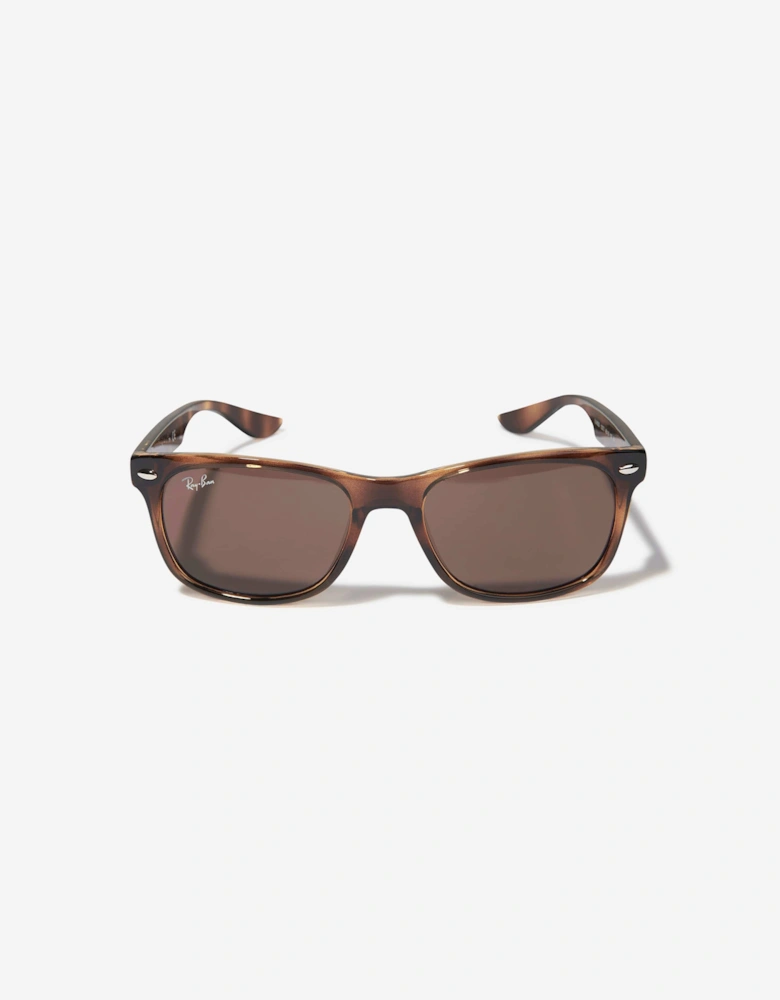 Kids New Junior Wayfarer Sunglasses in Brown