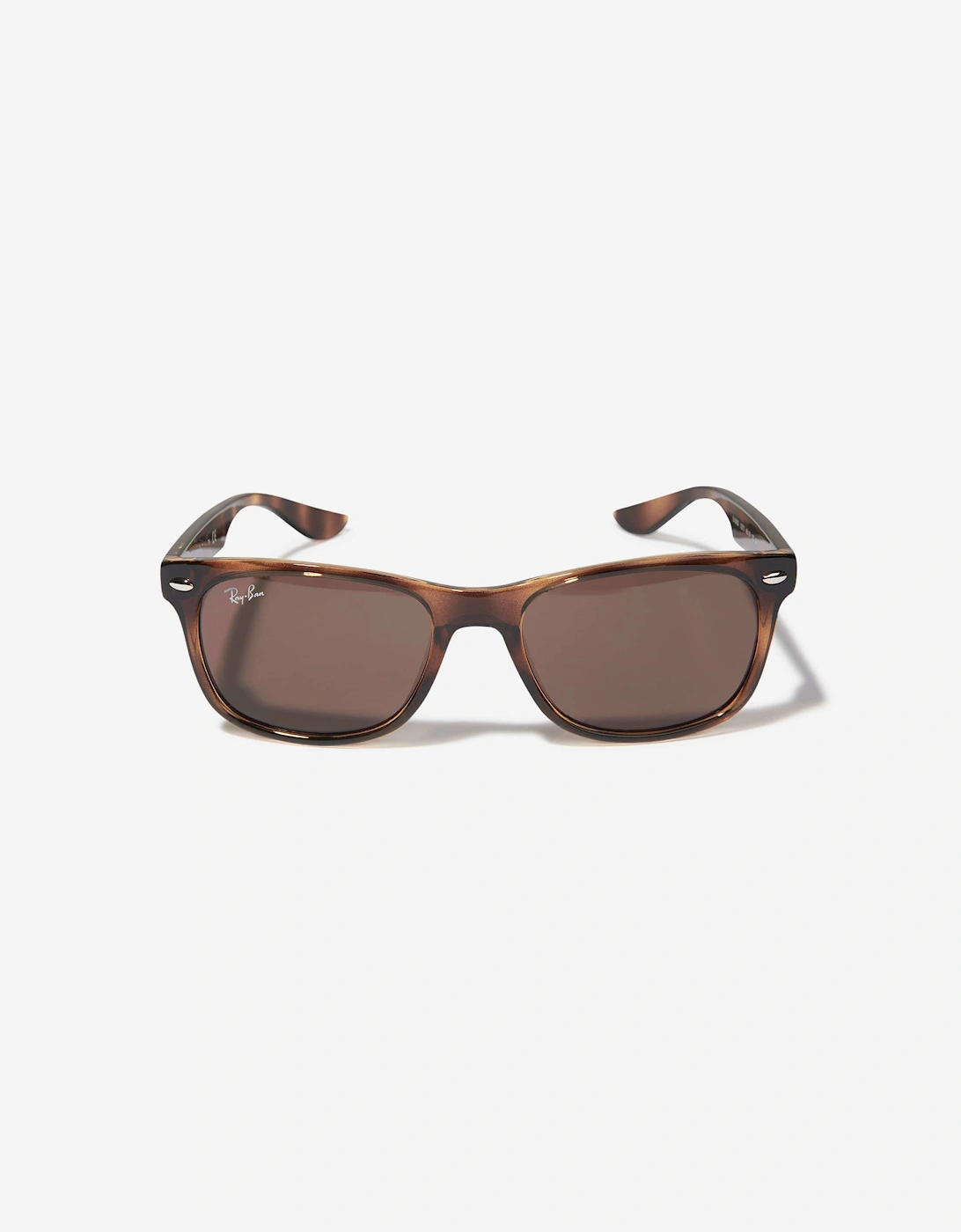 Kids New Junior Wayfarer Sunglasses in Brown