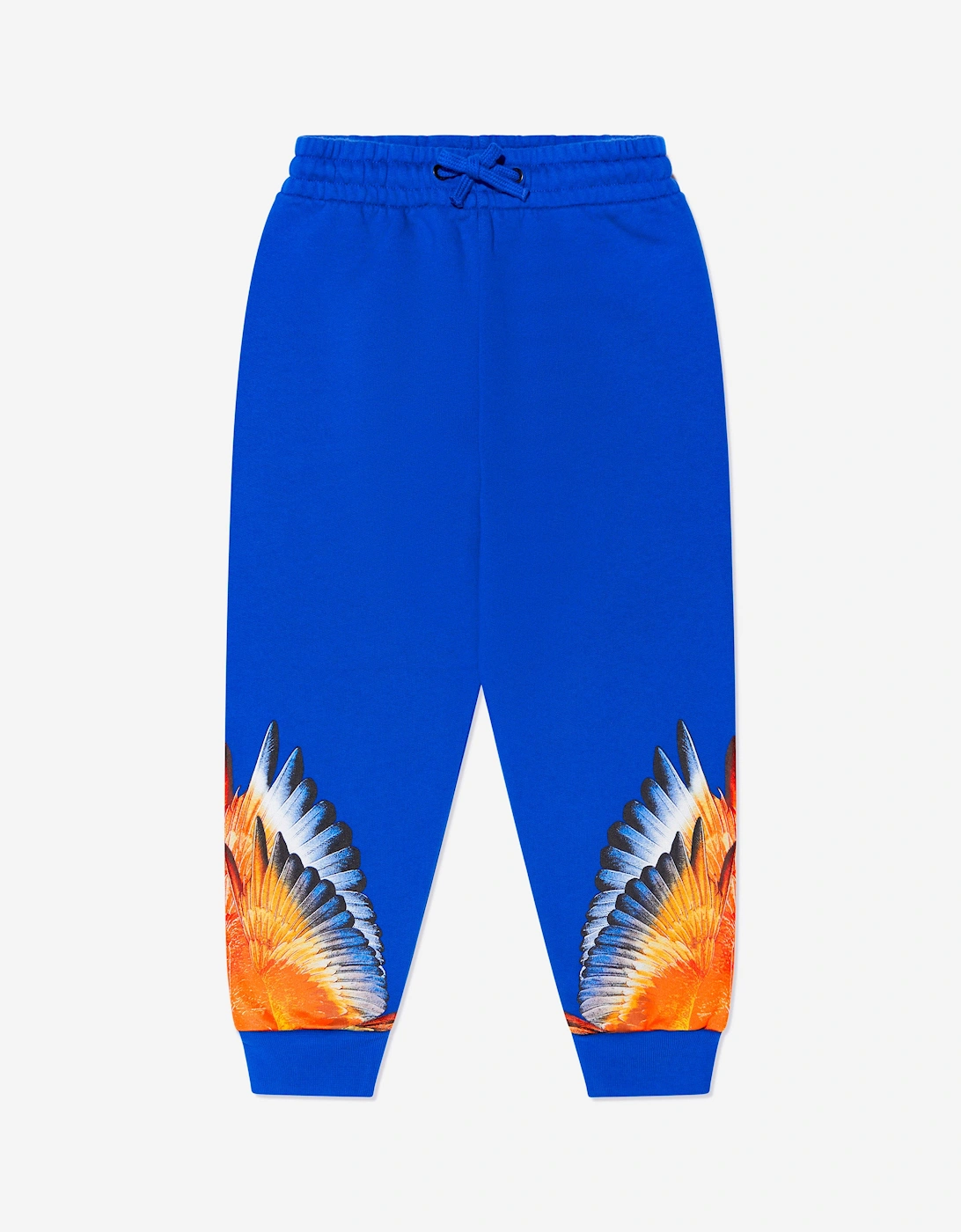Boys Icon Wings Sweatpants, 5 of 4