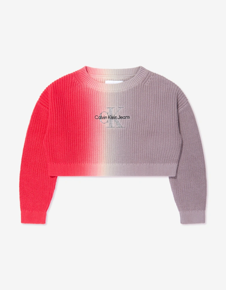 Girls Monogram Gradient Sweater in Auburn