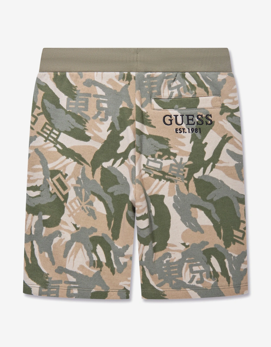 Boys Desert Print Shorts in Green
