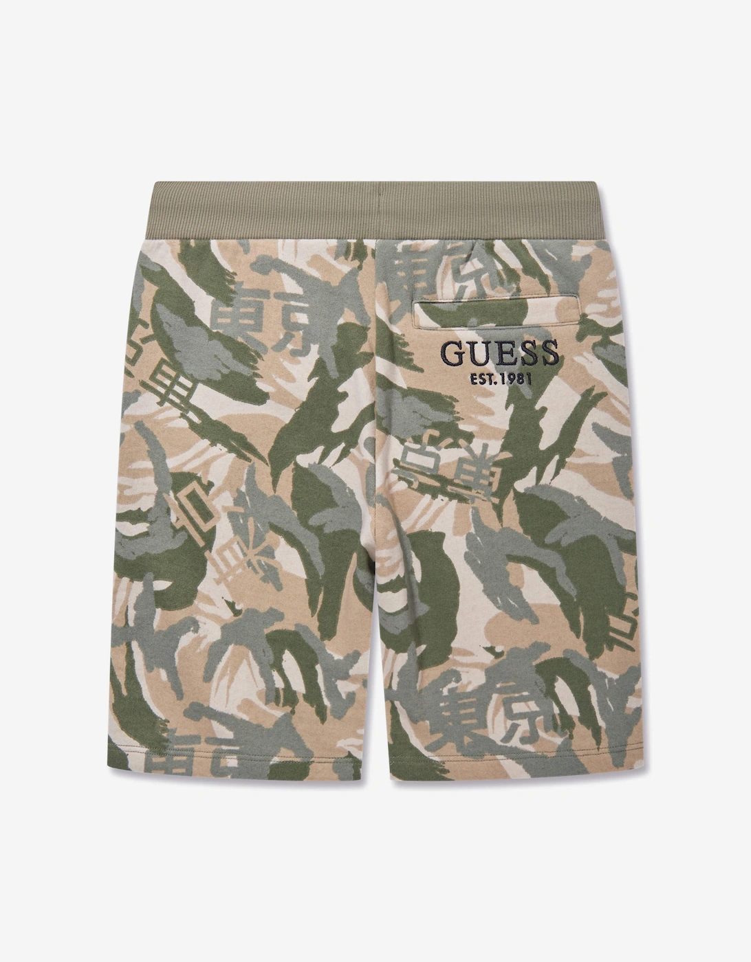 Boys Desert Print Shorts in Green