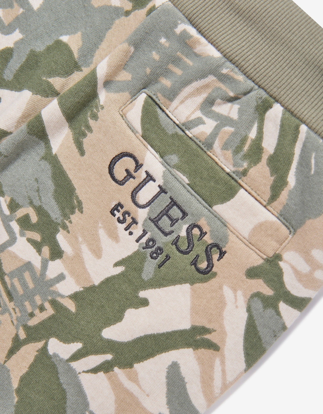 Boys Desert Print Shorts in Green