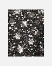 Thumbnail 5 of 5