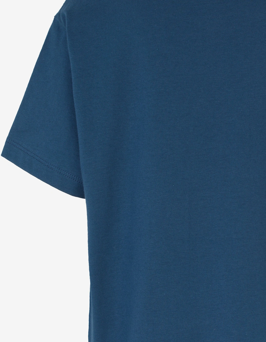 Boys Logo T-Shirt in Blue