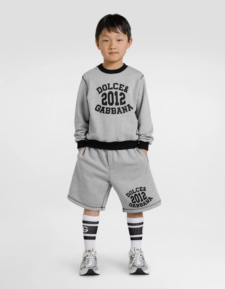 Boys Embroidered 2012 Logo Sweatshirt in Grey